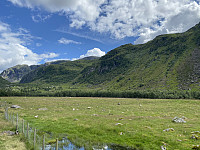 Tollak_20231218_658093f9c2df9.jpg