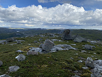Tollak_20231218_658094285315a.jpg