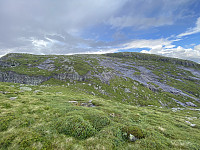 Tollak_20231218_6580942c23a0d.jpg
