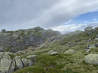 Tollak_20231218_6580943050523.jpg