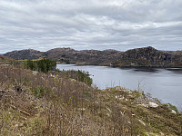 Tollak_20231221_65845e200f817.jpg