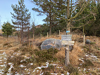 Tollak_20231221_65846eb85a6c4.jpg