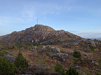 Tollak_20231221_65846ec62eba4.jpg
