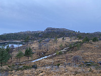 Tollak_20231221_65846ed41cc33.jpg
