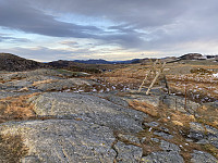 Tollak_20231221_65847a7ac11fe.jpg