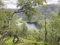 Tollak_20231223_6586d4b5cef14.jpg