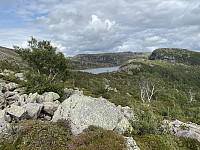 Tollak_20231223_6586d4bbcfb1f.jpg