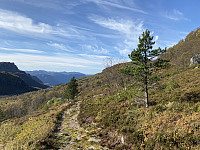 Tollak_20231223_6586de02d1030.jpg