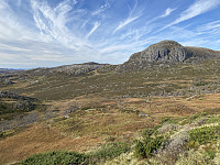 Tollak_20231223_6586de13de407.jpg