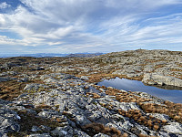 Tollak_20231223_6586de324849d.jpg