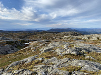Tollak_20231223_6586de37dc03b.jpg