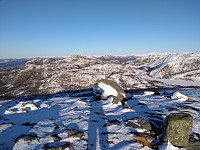 Tollak_20240102_659418f211d3e.jpg