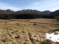 Tollak_20240102_65941a4e406c1.jpg