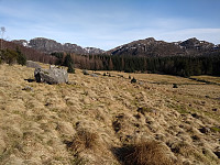 Tollak_20240102_65941a4f86003.jpg