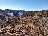 Tollak_20240105_659827ee129c1.jpg