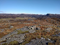 Tollak_20240105_659827f266424.jpg