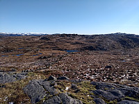 Tollak_20240105_659827f50a649.jpg