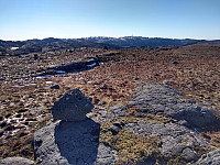 Tollak_20240105_659827f754404.jpg