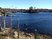 Tollak_20240105_659827fb5b2bc.jpg