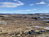 Tollak_20240107_659aef5ada655.jpg