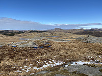 Tollak_20240107_659aef626642c.jpg