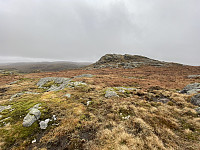 Tollak_20240128_65b66f0d7b832.jpg