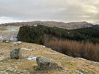 Tollak_20240128_65b672920eac3.jpg