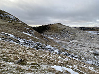 Tollak_20240128_65b67294b741d.jpg