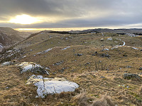 Tollak_20240128_65b6729d6586c.jpg