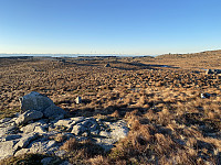 Tollak_20240128_65b67671cb550.jpg