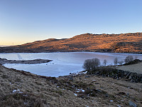 Tollak_20240128_65b676824d351.jpg