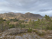 Tollak_20240204_65bfca9ede22e.jpg