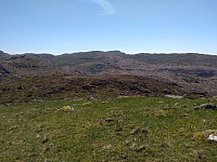 Tollak_20240206_65c27c4994cc4.jpg