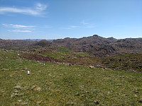 Tollak_20240206_65c27c4b8efb2.jpg