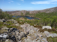 Tollak_20240206_65c27c4db0ec9.jpg