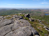 Tollak_20240206_65c27c58513fe.jpg