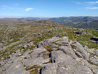 Tollak_20240206_65c27c5ae2973.jpg