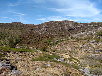 Tollak_20240206_65c27c66b1848.jpg