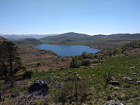 Tollak_20240206_65c27c68e19d0.jpg