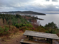 Tollak_20240208_65c4ef42ad064.jpg