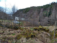 Tollak_20240208_65c4ef491eecf.jpg