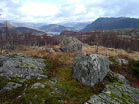 Tollak_20240211_65c8c8af87619.jpg