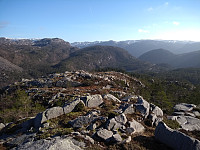 Tollak_20240211_65c8c8c314b17.jpg