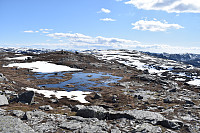 Tollak_20240211_65c8da73e18bd.jpg