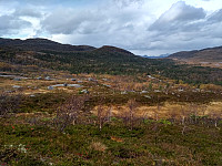 Tollak_20240215_65ce5db8ce151.jpg