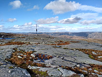 Tollak_20240215_65ce5dc30d95b.jpg