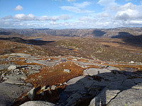 Tollak_20240215_65ce5dc93e78b.jpg