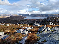 Tollak_20240215_65ce5dcce06aa.jpg