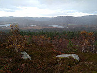 Tollak_20240215_65ce5dd1d49d2.jpg