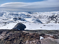 Tollak_20240215_65ce61b7a57c2.jpg